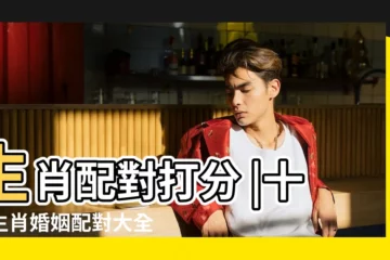【周易十二生肖配對大全】生肖配對打分 |十二生肖婚姻配對大全 |誰是你的最佳夫妻屬相 |