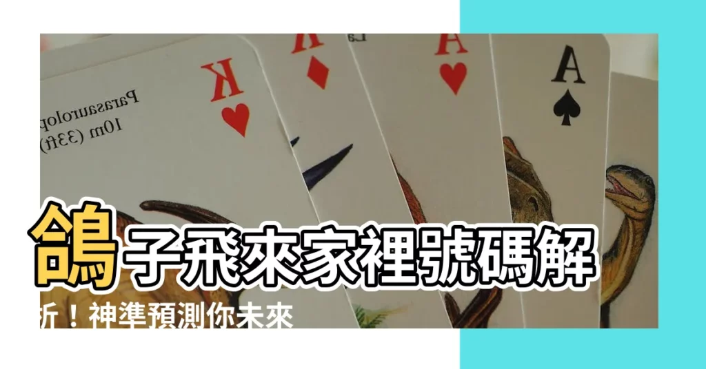 【鴿子飛來家裡號碼】鴿子飛來家裡號碼解析！神準預測你未來運勢！