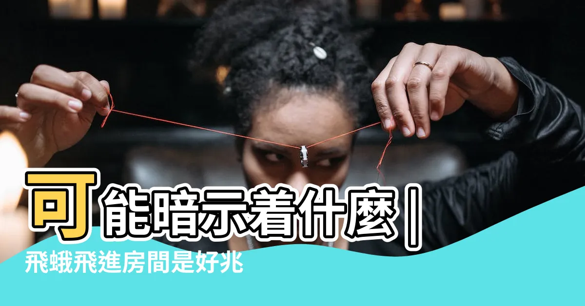 【飛蛾入屋意思】可能暗示着什麼 |飛蛾飛進房間是好兆頭 |瞭解精神含義 |