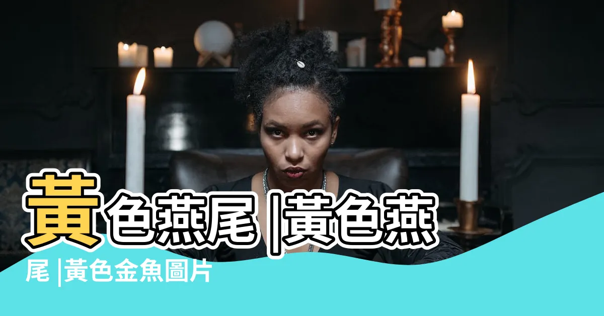 【黃色金魚】黃色燕尾 |黃色燕尾 |黃色金魚圖片 |