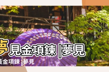 【夢見老婆買粗金項鍊】夢見金項鍊 |夢見買黃金項鍊 |夢見給老公買黃金項鍊 |