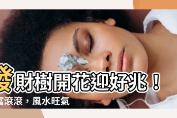 【發財樹開花風水】發財樹開花迎好兆！財富滾滾，風水旺氣擋不住