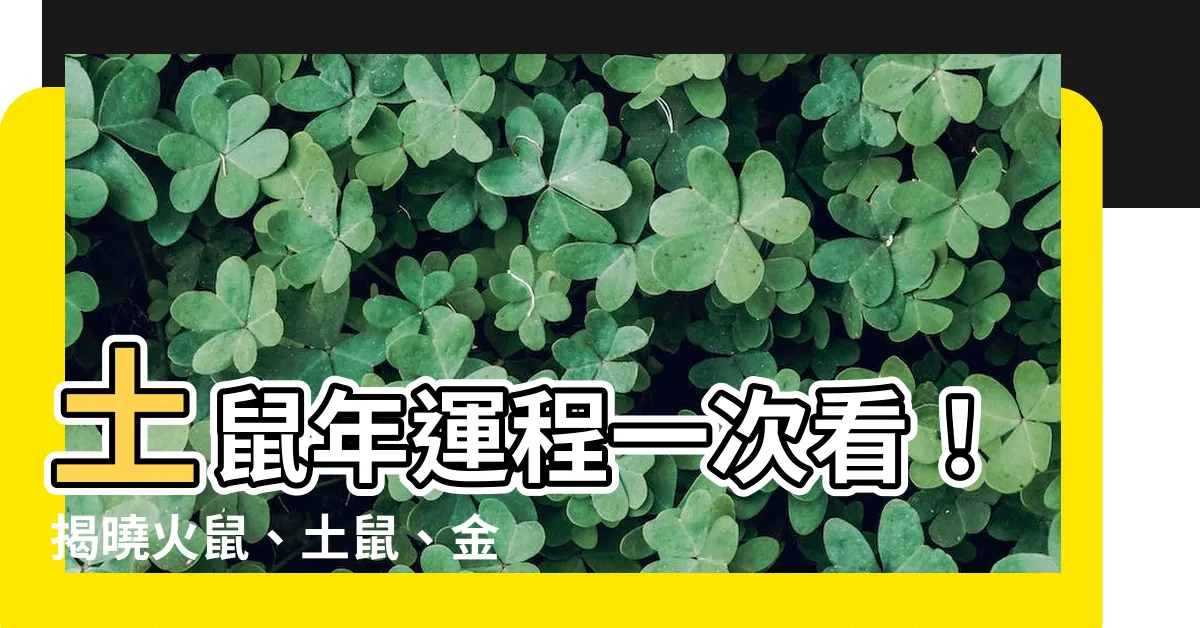 【土鼠年】土鼠年運程一次看！揭曉火鼠、土鼠、金鼠旺運秘方！