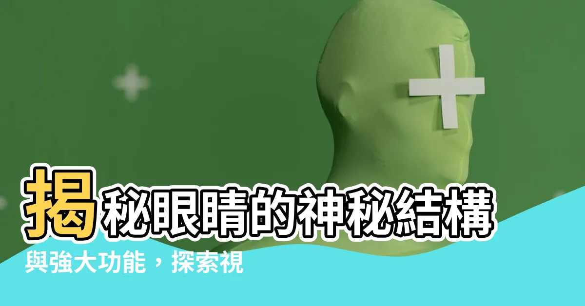 【眼睛】揭秘眼睛的神秘結構與強大功能，探索視覺世界的秘密！