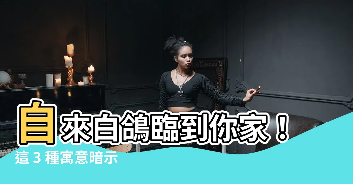 【自來白鴿風水】自來白鴿臨到你家！這 3 種寓意暗示好運到