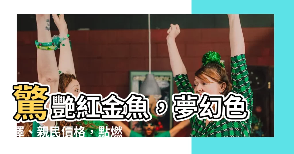 【紅色金魚】驚艷紅金魚，夢幻色澤、親民價格，點燃你的魚缸樂趣！