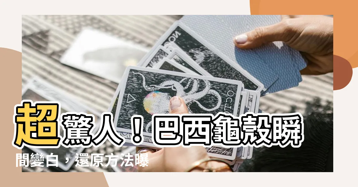 【巴西龜殼變白】超驚人！巴西龜殼瞬間變白，還原方法曝光，必看！