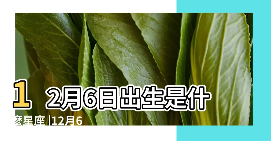 12月6日出生是什麼星座 |12月6日是什麼星座 |12月6日人的性格 |【12月6號什麼星座】