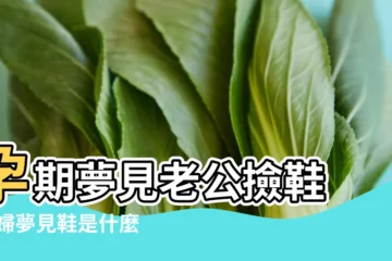 【孕婦夢見老公給舊鞋子是什麼意思】孕期夢見老公撿鞋 |孕婦夢見鞋是什麼意思 |孕婦夢到老公穿自己的鞋子 |