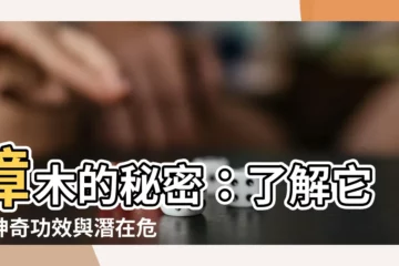 【樟木的功效】樟木的秘密：瞭解它的神奇功效與潛在危害