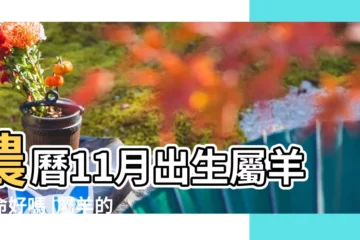 【11月份生的羊】農曆11月出生屬羊人命好嗎 |屬羊的人各月出生的命運總評 |屬羊的人生於幾月最好 |