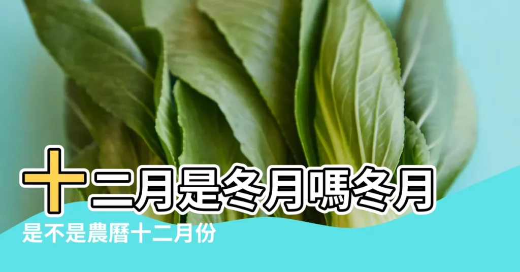 十二月是冬月嗎冬月是不是農曆十二月份 |農曆冬月是幾月冬月是指農曆哪一個月份 |農曆冬月是哪個月 |【冬月是隻哪個月】