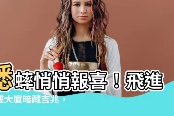 【蟋蟀代表什麼】蟋蟀悄悄報喜！飛進高樓大廈暗藏吉兆，快來一探究竟