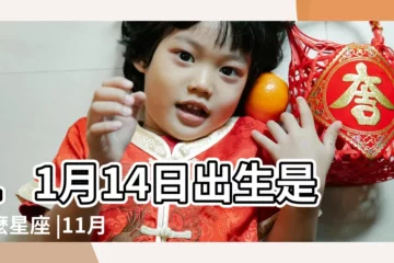 【11月14曰出生的是什麼星座的】11月14日出生是什麼星座 |11月14日人的性格 |11月14日是什麼星座 |