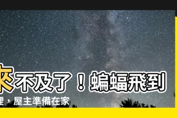 【蝙蝠來家裡】來不及了！蝙蝠飛到屋裡，屋主準備在家發一筆橫財！