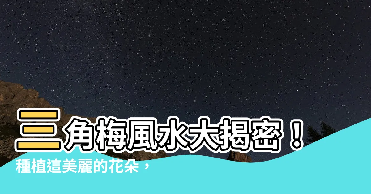 【三角梅風水】三角梅風水大揭密！種植這美麗的花朵，你家的財運將會急速上升！
