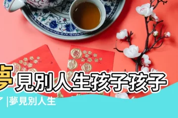 【夢到家人生孩子後孩子死了】夢見別人生孩子孩子死了 |夢見別人生孩子死了 |夢見生孩子孩子死了 |
