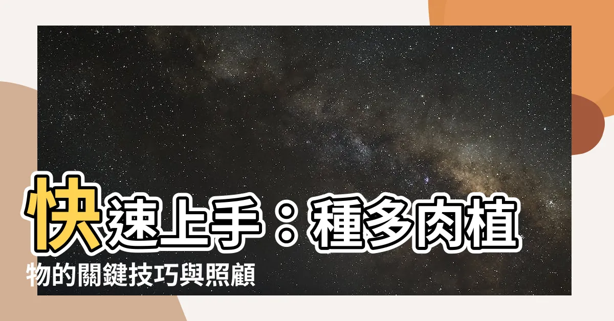 【種多肉】快速上手：種多肉植物的關鍵技巧與照顧指南