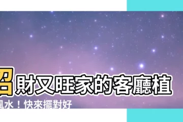 【客廳植物風水】招財又旺家的客廳植物風水！快來擺對好運！
