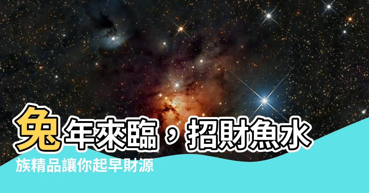 【招財 魚】兔年來臨，招財魚水族精品讓你起早財源廣進！