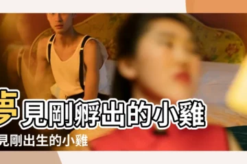 【夢見好多剛孵出的小雞是什麼意思】夢見剛孵出的小雞 |夢見剛出生的小雞 |夢見雞蛋孵出小雞 |