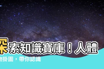 【掛圖】探索知識寶庫！人體動物掛圖，帶你認識奇妙世界