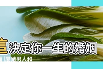 【二月豬和十月猴婚姻】這決定你一生的婚姻幸福 |屬豬男人和屬猴女人相配嗎 |幾月份的豬和猴不衝婚姻最配 |