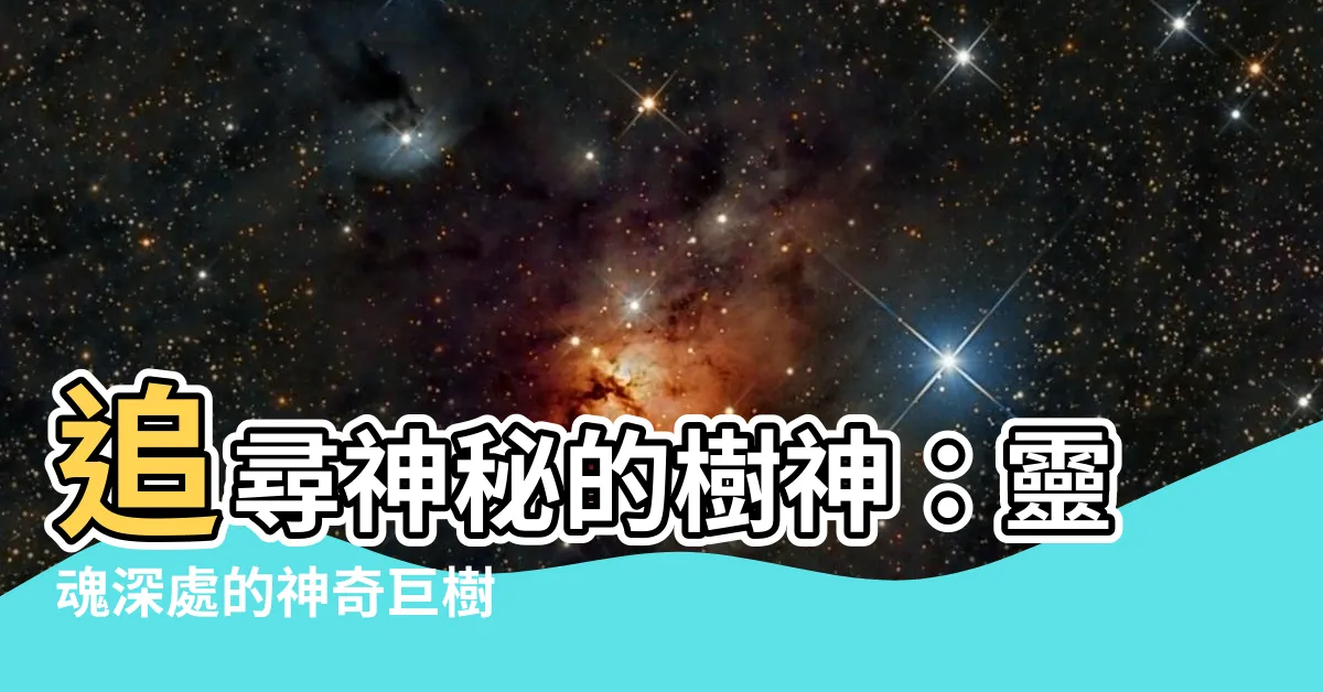 【樹神】追尋神秘的樹神：靈魂深處的神奇巨樹