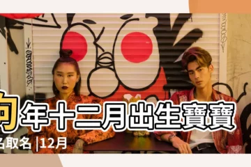 【12月份出生狗寶寶起名】狗年十二月出生寶寶起名取名 |12月份狗年寶寶起名大全 |2018年12月出生的屬狗寶寶起名取名名字大全 |