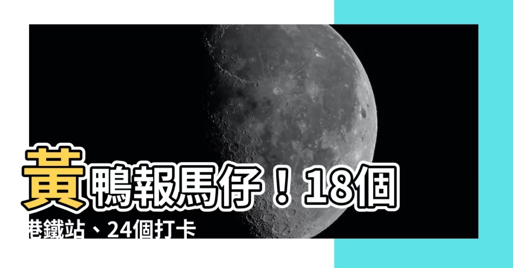 【鴨子位置】黃鴨報馬仔！18個港鐵站、24個打卡點大公開