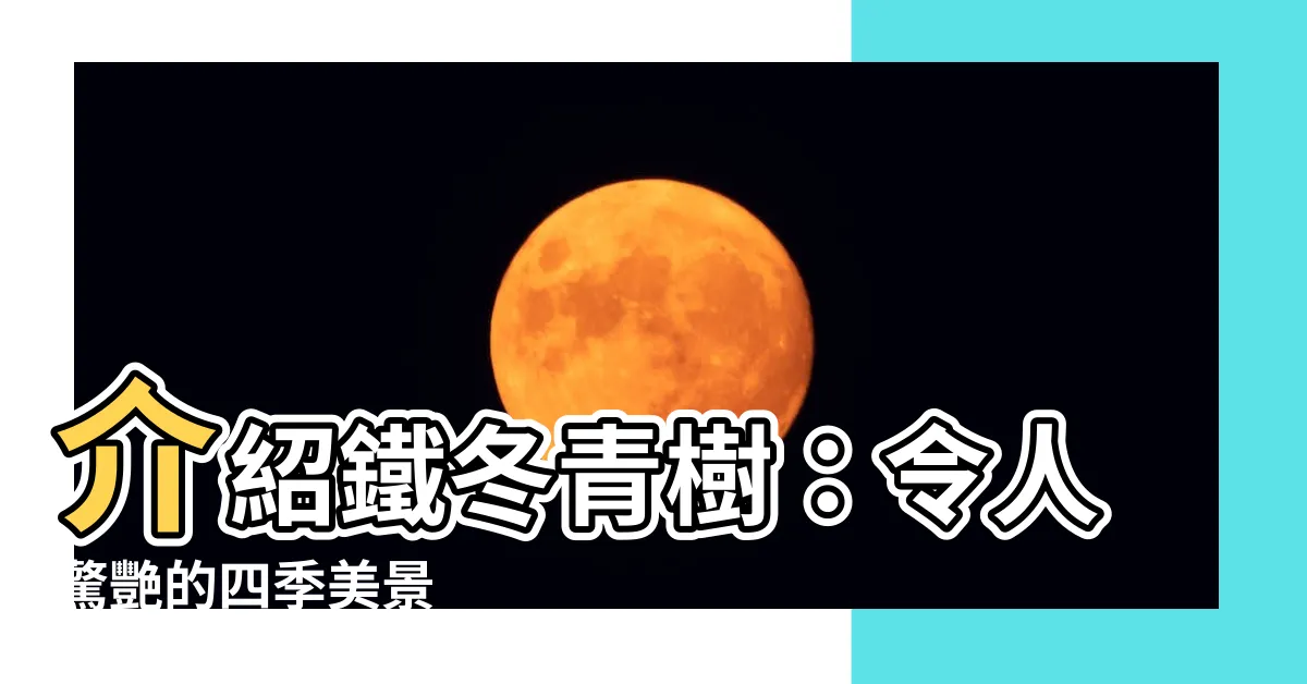 【鐵冬青樹】介紹鐵冬青樹：令人驚艷的四季美景