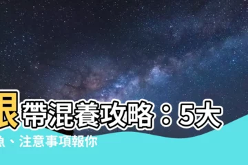 【銀帶混養】銀帶混養攻略：5大配魚、注意事項報你知！