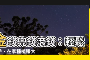 【金錢兜 種植】金錢兜錢滾錢：輕鬆上手、在家種植賺大錢！