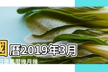 【2019農曆三月27】國曆2019年3月27日是農曆幾月幾日 |屬什麼生肖 |2019年3月27日黃歷查詢 |