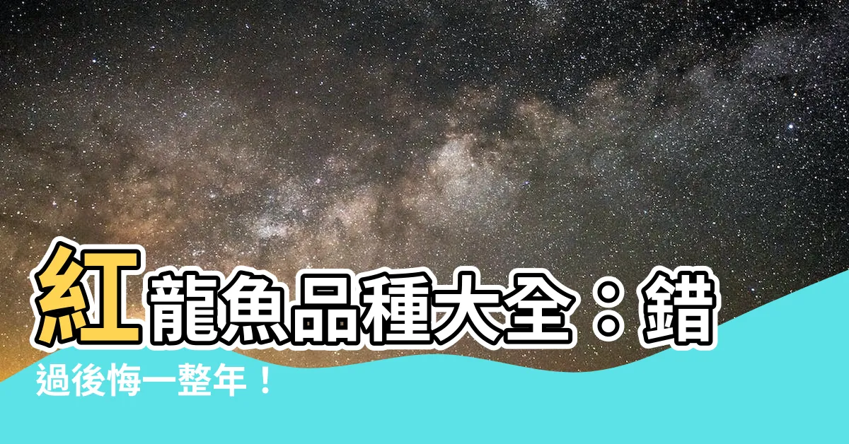 【紅龍魚品種】紅龍魚品種大全：錯過後悔一整年！
