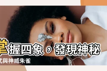 【玄武 朱雀】掌握四象，發現神秘玄武與神威朱雀