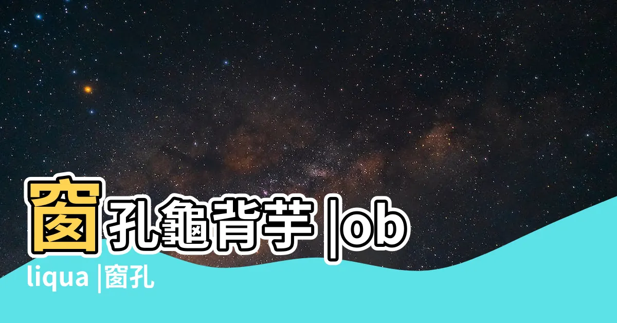 【窗口龜背芋】窗孔龜背芋 |obliqua |窗孔龜背芋照顧 |