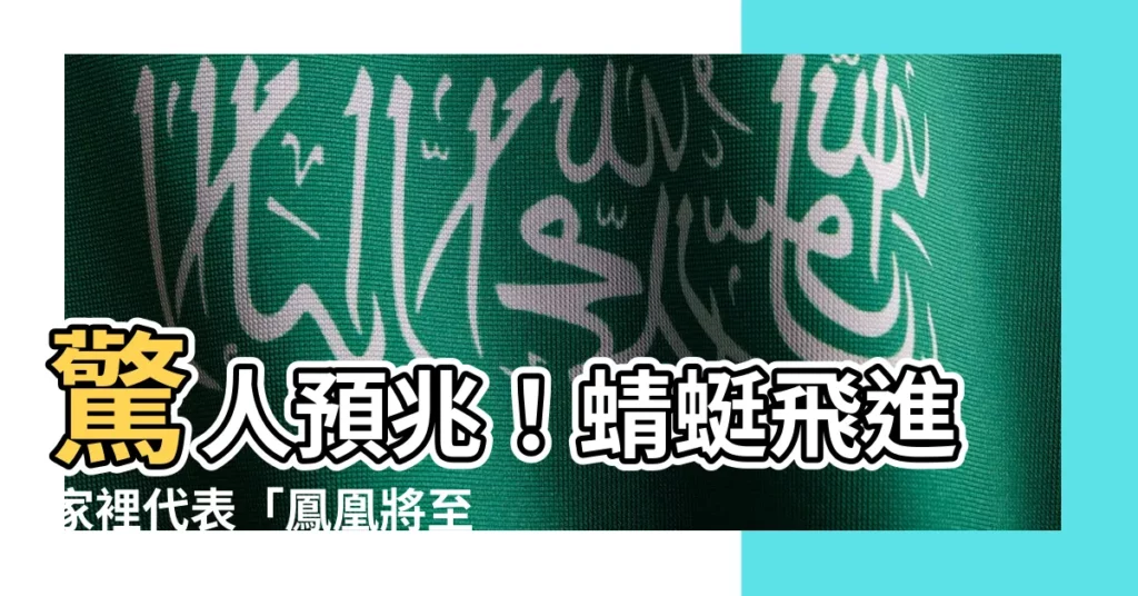 【蜻蜓飛進家預兆】驚人預兆！蜻蜓飛進家裡代表「鳳凰將至」？