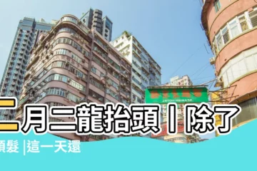 【二月二】二月二龍抬頭丨除了剪頭髮 |這一天還可以做點啥 |