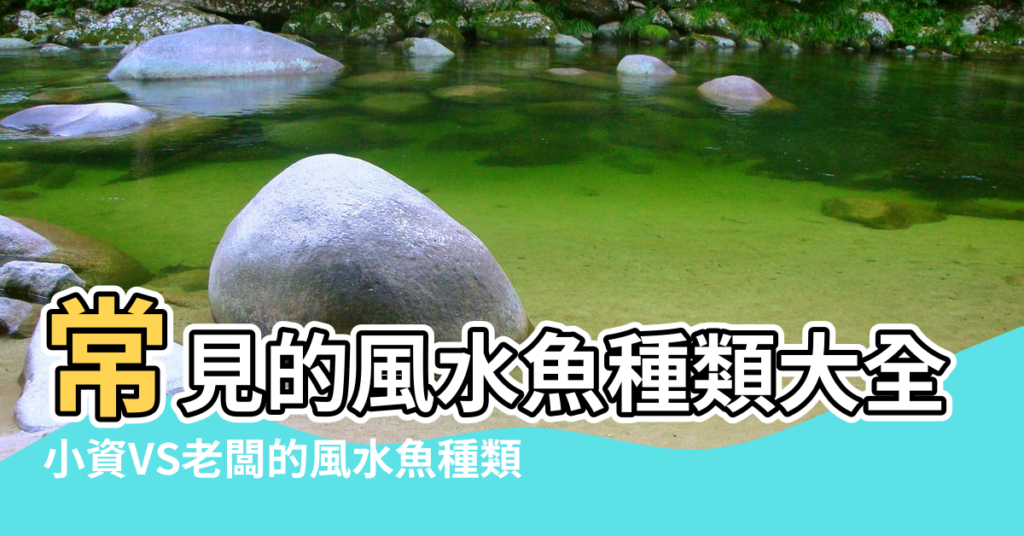 【什麼魚是風水魚】常見的風水魚種類大全 |小資VS老闆的風水魚種類 |需要具備哪些條件 |