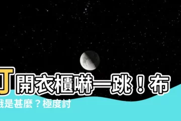【布衣蛾是什麼】打開衣櫃嚇一跳！布衣蛾是甚麼？極度討厭的布料殺手！