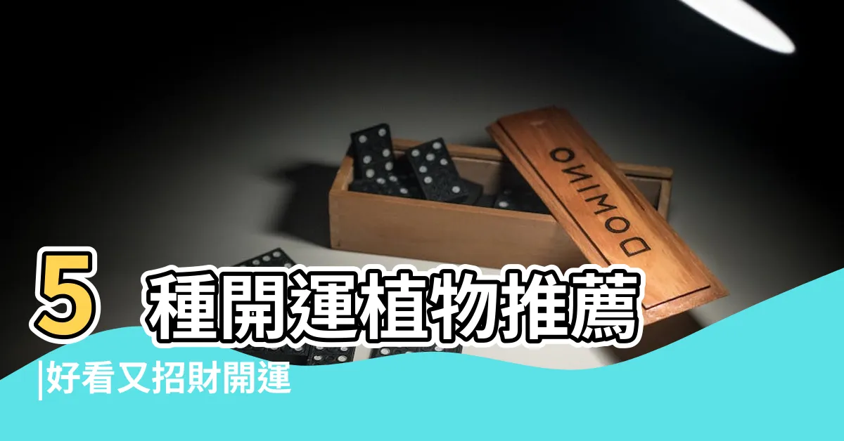 【辦公室黃金葛風水】5種開運植物推薦 |好看又招財開運 |黃金葛招貴人 |