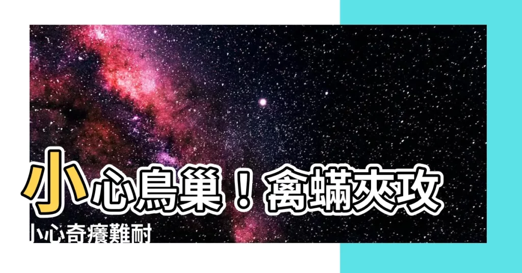 【屋外有鳥巢】小心鳥巢！禽蟎夾攻小心奇癢難耐