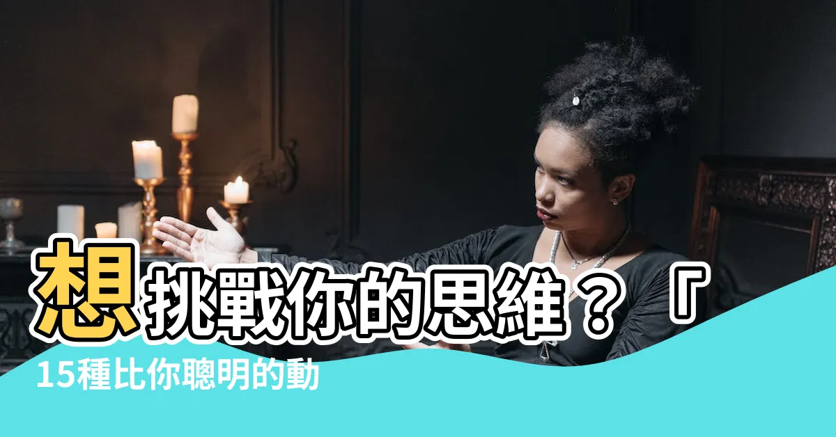 【象徵智慧的動物】想挑戰你的思維？「15種比你聰明的動物」大揭秘！