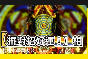 【柏樹盆栽風水】【擺對招好運！】柏樹盆栽風水學問大公開