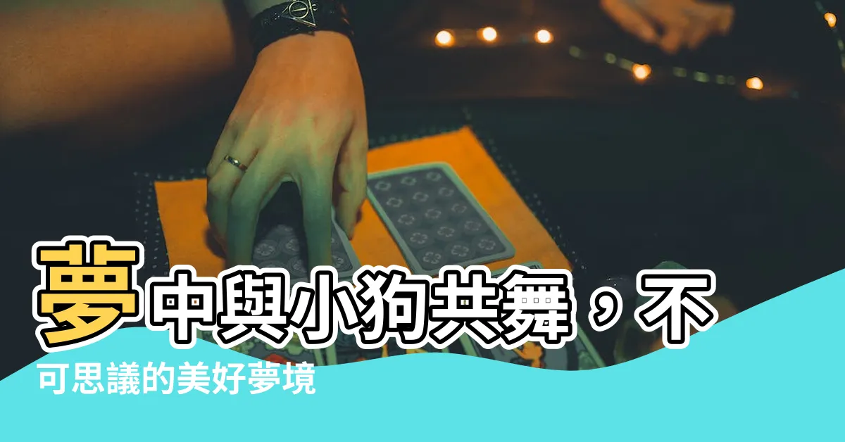 【夢見小狗】夢中與小狗共舞，不可思議的美好夢境