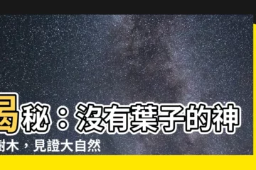 【沒有葉子的樹】揭秘：沒有葉子的神奇樹木，見證大自然的鬼斧神工！