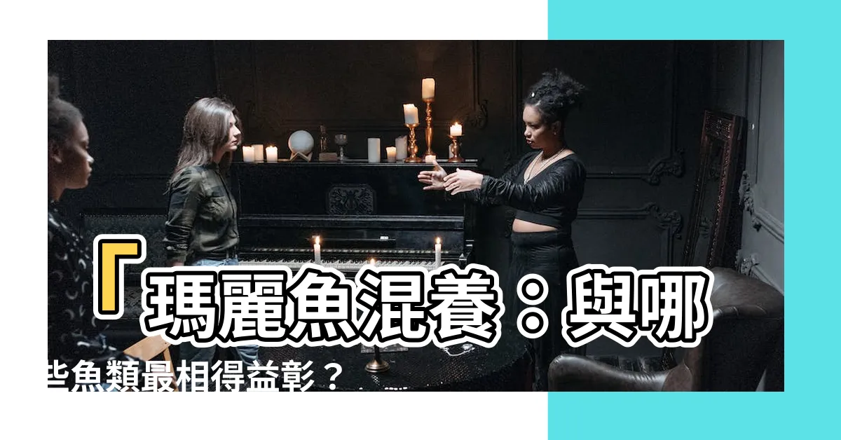 【瑪麗魚混養】「瑪麗魚混養：與哪些魚類最相得益彰？絕佳混養組合揭密！」