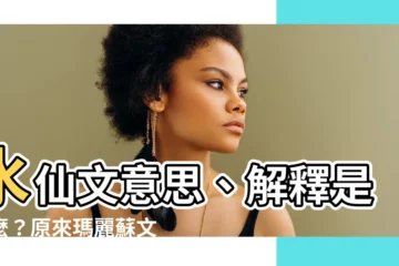 【水仙文 意思】水仙文意思、解釋是什麼？原來瑪麗蘇文就是這種意思！