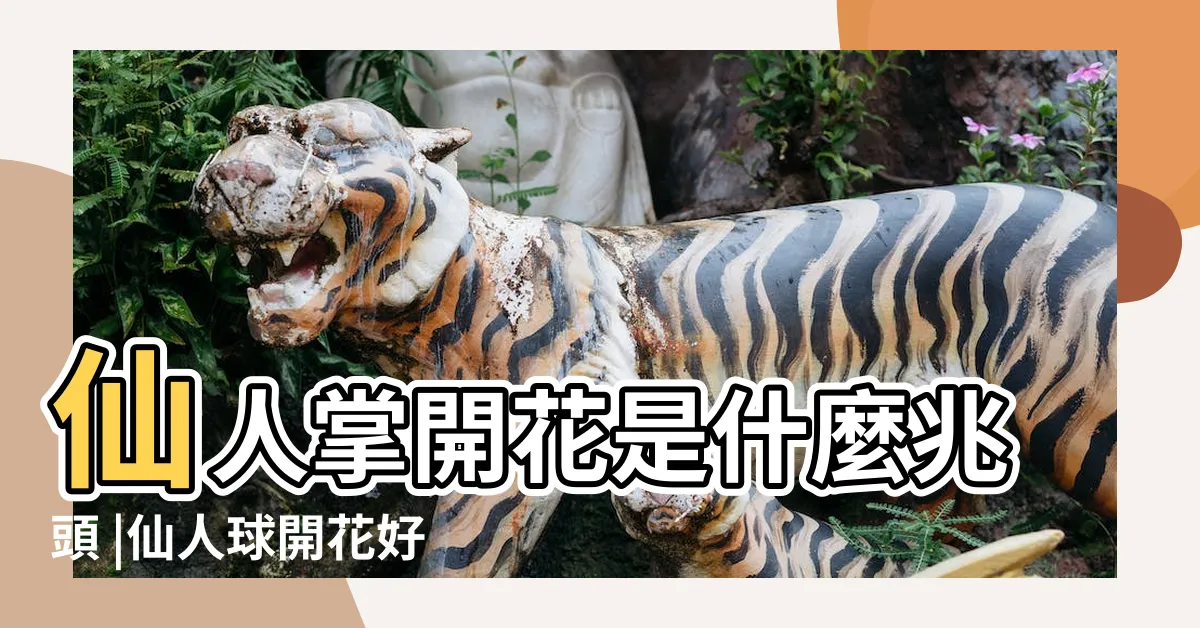 【仙人球開花寓意】仙人掌開花是什麼兆頭 |仙人球開花好兆頭 |人生的幸運 |